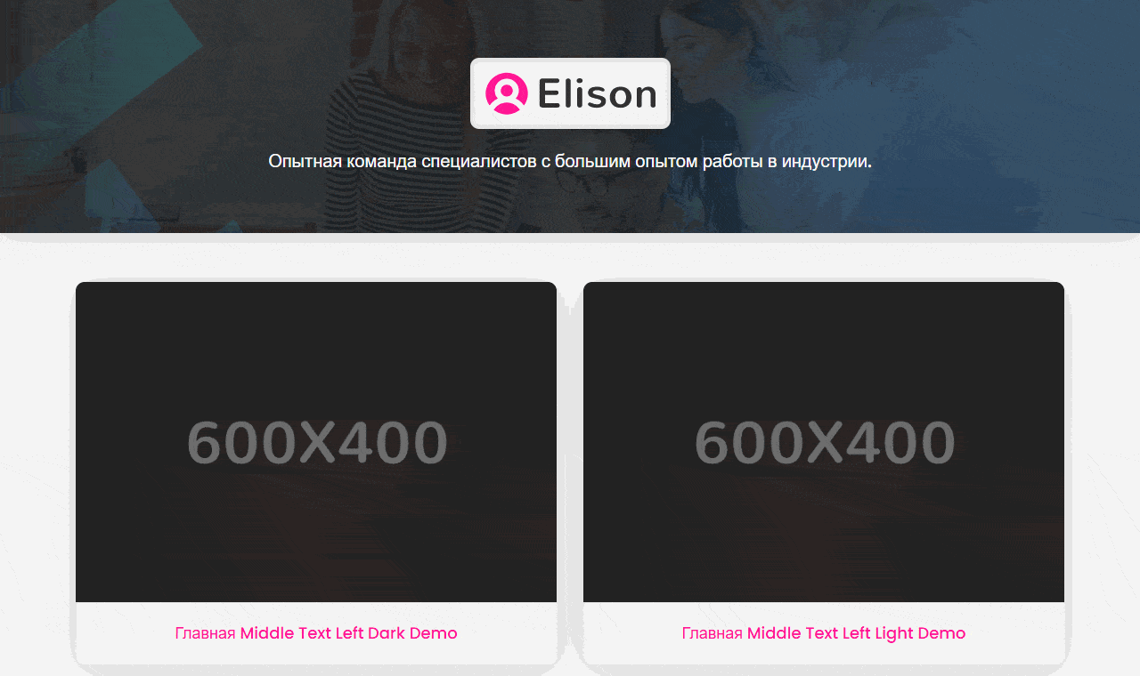 Elison